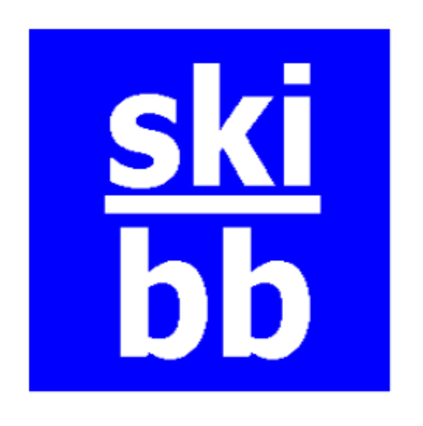 ski-bb-logo2,5x2,5